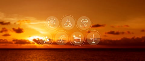 Wellness and holistic recovery